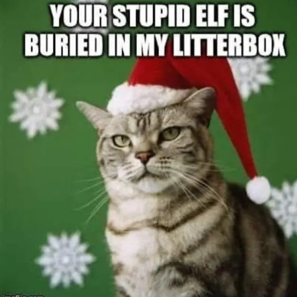 Meet your Posher, Shelly - Picture 9 of 9